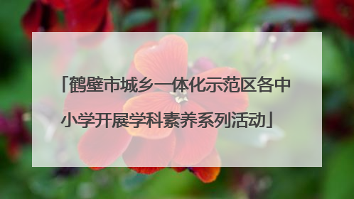 鹤壁市城乡一体化示范区各中小学开展学科素养系列活动