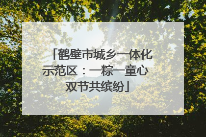 鹤壁市城乡一体化示范区：一粽一童心 双节共缤纷