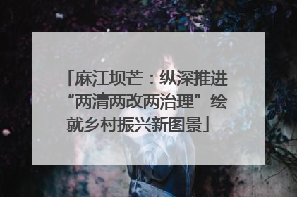 麻江坝芒：纵深推进“两清两改两治理”绘就乡村振兴新图景