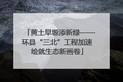 黄土旱塬添新绿——环县“三北”工程加速绘就生态新画卷