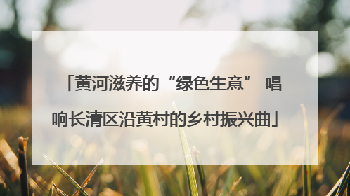 黄河滋养的“绿色生意” 唱响长清区沿黄村的乡村振兴曲