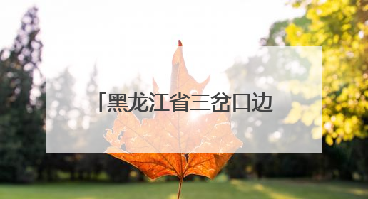 黑龙江省三岔口边境派出所：在界河畔，扎根红色沃土