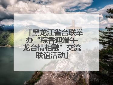 黑龙江省台联举办“粽香迎端午·龙台情相融”交流联谊活动