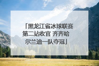 黑龙江省冰球联赛第二站收官 齐齐哈尔兰迪一队夺冠