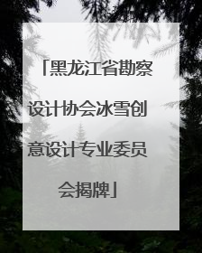 黑龙江省勘察设计协会冰雪创意设计专业委员会揭牌