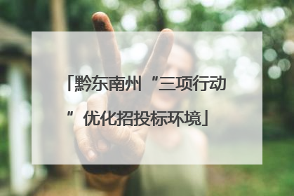 黔东南州“三项行动”优化招投标环境