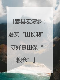 黟县宏潭乡：落实“田长制” 守好良田保“粮仓”