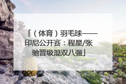（体育）羽毛球——印尼公开赛：程星/张驰晋级混双八强