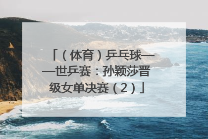 （体育）乒乓球——世乒赛：孙颖莎晋级女单决赛（2）