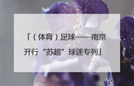 （体育）足球——南京开行“苏超”球迷专列