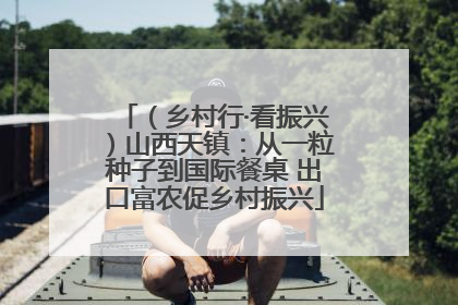 （乡村行·看振兴）山西天镇：从一粒种子到国际餐桌 出口富农促乡村振兴
