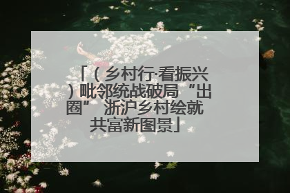 （乡村行·看振兴）毗邻统战破局“出圈” 浙沪乡村绘就共富新图景
