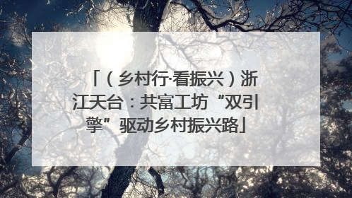 （乡村行·看振兴）浙江天台：共富工坊“双引擎”驱动乡村振兴路
