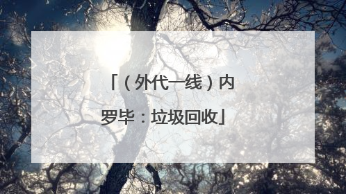 （外代一线）内罗毕：垃圾回收