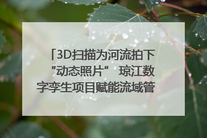 3D扫描为河流拍下“动态照片” 琼江数字孪生项目赋能流域管理｜新闻发布最前线