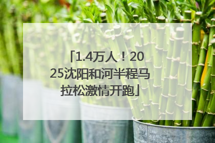1.4万人！2025沈阳和河半程马拉松激情开跑