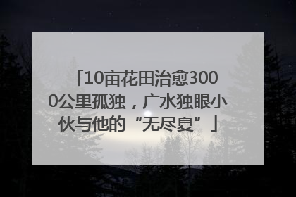 10亩花田治愈3000公里孤独，广水独眼小伙与他的“无尽夏”
