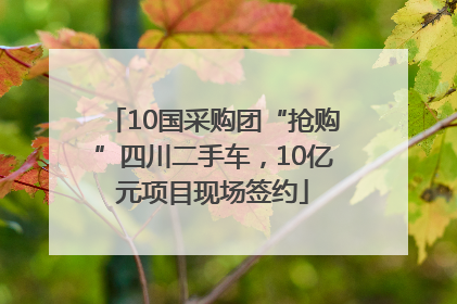 10国采购团“抢购”四川二手车，10亿元项目现场签约