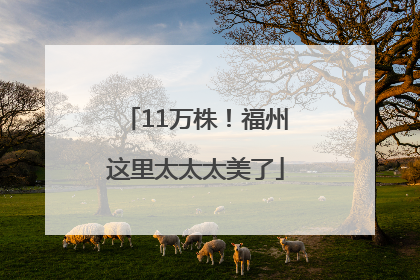 11万株！福州这里太太太美了