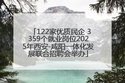 122家优质民企 3359个就业岗位2025年西安-咸阳一体化发展联合招聘会举办