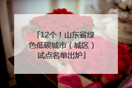 12个！山东省绿色低碳城市（城区）试点名单出炉