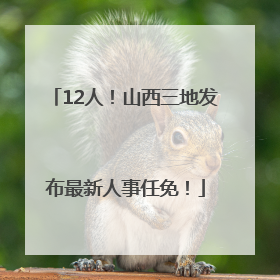 12人！山西三地发布最新人事任免！