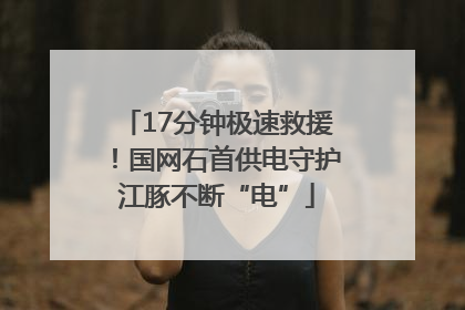 17分钟极速救援！国网石首供电守护江豚不断“电”