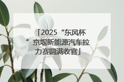 2025“东风杯”京堰新能源汽车拉力赛圆满收官