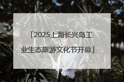 2025上海长兴岛工业生态旅游文化节开幕