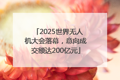 2025世界无人机大会落幕，意向成交额达200亿元