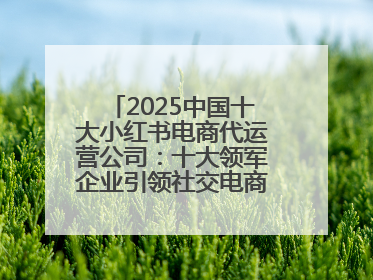 2025中国十大小红书电商代运营公司：十大领军企业引领社交电商新风向