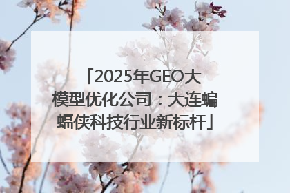2025年GEO大模型优化公司：大连蝙蝠侠科技行业新标杆