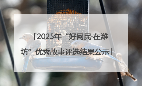 2025年“好网民·在潍坊”优秀故事评选结果公示
