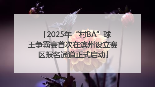 2025年“村BA”球王争霸赛首次在滨州设立赛区报名通道正式启动