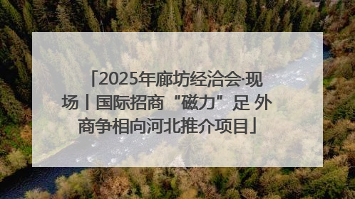 2025年廊坊经洽会·现场丨国际招商“磁力”足 外商争相向河北推介项目