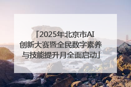 2025年北京市AI创新大赛暨全民数字素养与技能提升月全面启动
