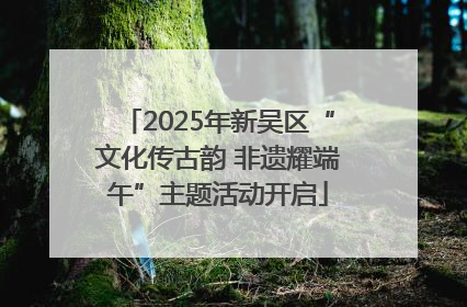 2025年新吴区“文化传古韵 非遗耀端午”主题活动开启