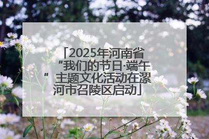 2025年河南省“我们的节日·端午”主题文化活动在漯河市召陵区启动