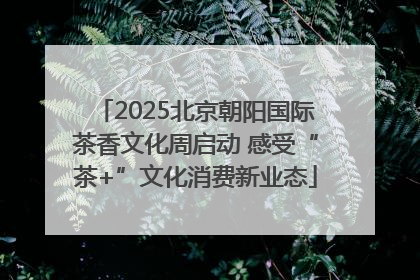 2025北京朝阳国际茶香文化周启动 感受“茶+”文化消费新业态
