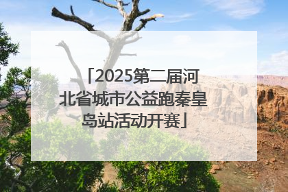 2025第二届河北省城市公益跑秦皇岛站活动开赛