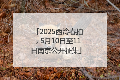 2025西泠春拍，5月10日至11日南京公开征集