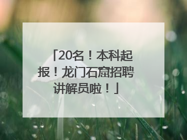 20名！本科起报！龙门石窟招聘讲解员啦！
