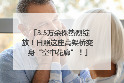3.5万余株热烈绽放！日照这座高架桥变身“空中花廊”！