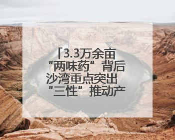 3.3万余亩“两味药”背后 沙湾重点突出“三性”推动产业实践丨新闻发布最前线