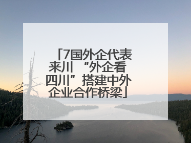 7国外企代表来川 “外企看四川”搭建中外企业合作桥梁