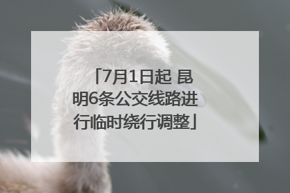 7月1日起 昆明6条公交线路进行临时绕行调整