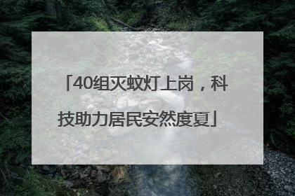 40组灭蚊灯上岗，科技助力居民安然度夏