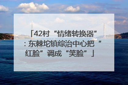 42村“情绪转换器”：东棘坨镇综治中心把“红脸”调成“笑脸”