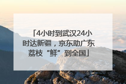 4小时到武汉24小时达新疆，京东助广东荔枝“鲜”到全国