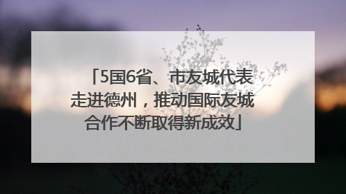 5国6省、市友城代表走进德州，推动国际友城合作不断取得新成效